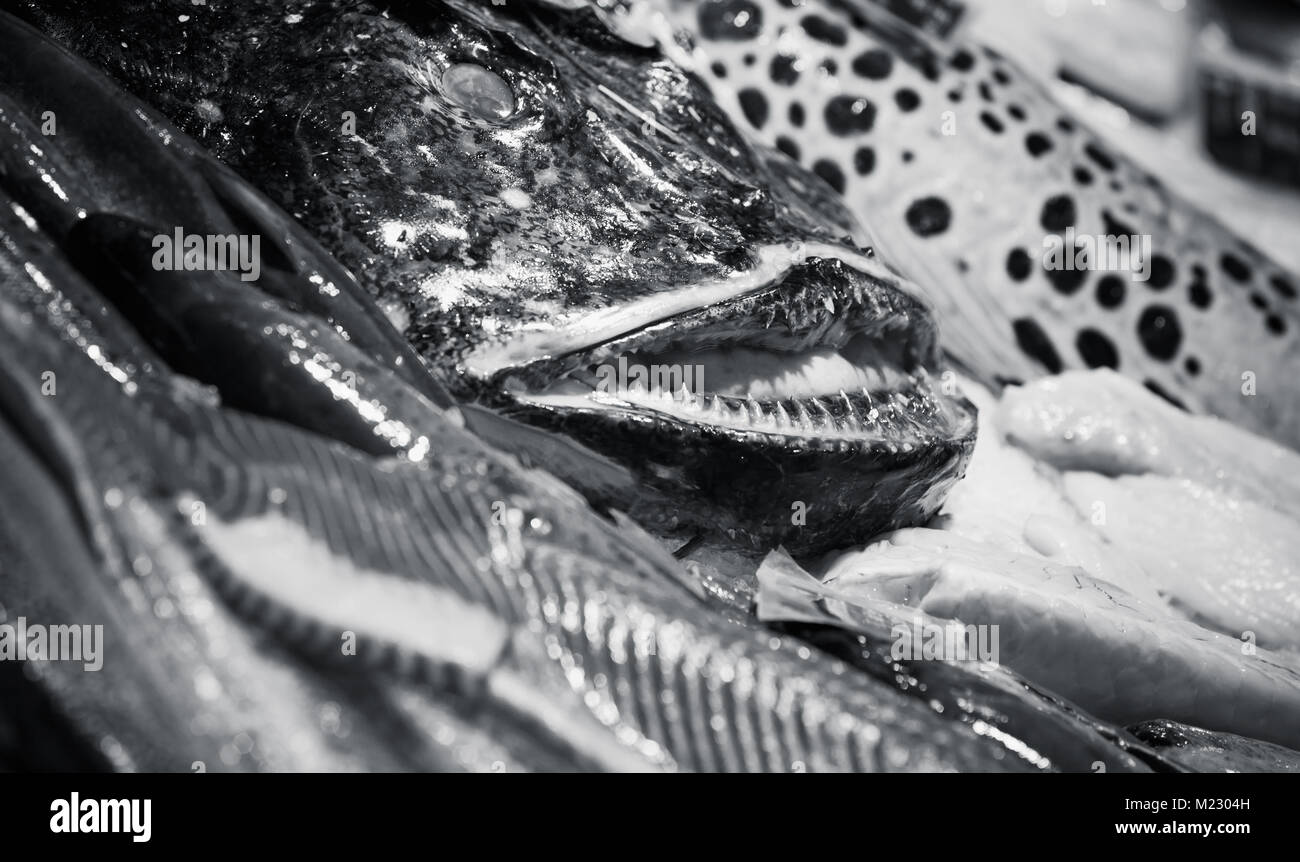 Lotte et autres fruits de mer jeter sur le comptoir en poissonnerie, photo en noir et blanc avec selective focus Banque D'Images