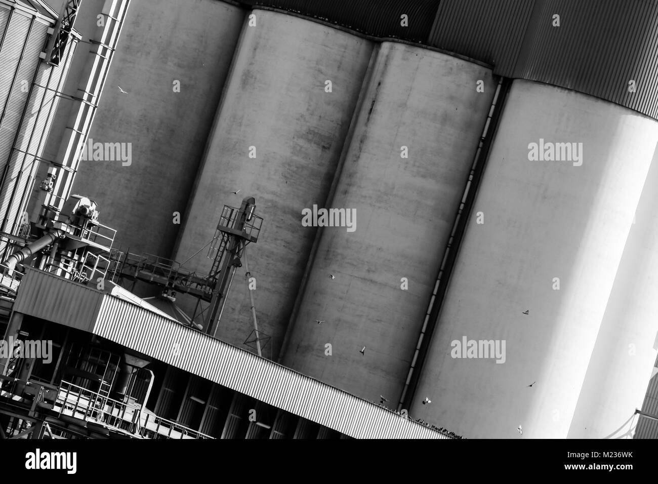 Chantier naval de Gdansk, Pologne. Style rétro noir et blanc. Des grues, des vieux bâtiments, chantier naval structures rouillées. Banque D'Images