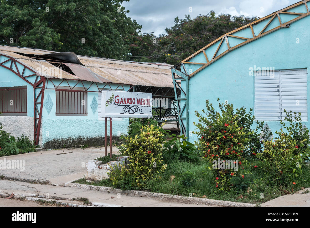 Las Tunas, Cuba - 4 septembre 2017 : les panneaux d'un toit métallique d'un bâtiment utilisé pour le petit bétail commencent à tomber sur la ville de foire. Banque D'Images