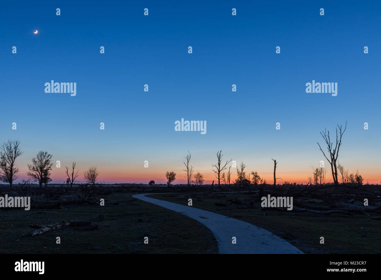 Coucher du soleil dans un paysage avec des arbres dénudés Banque D'Images