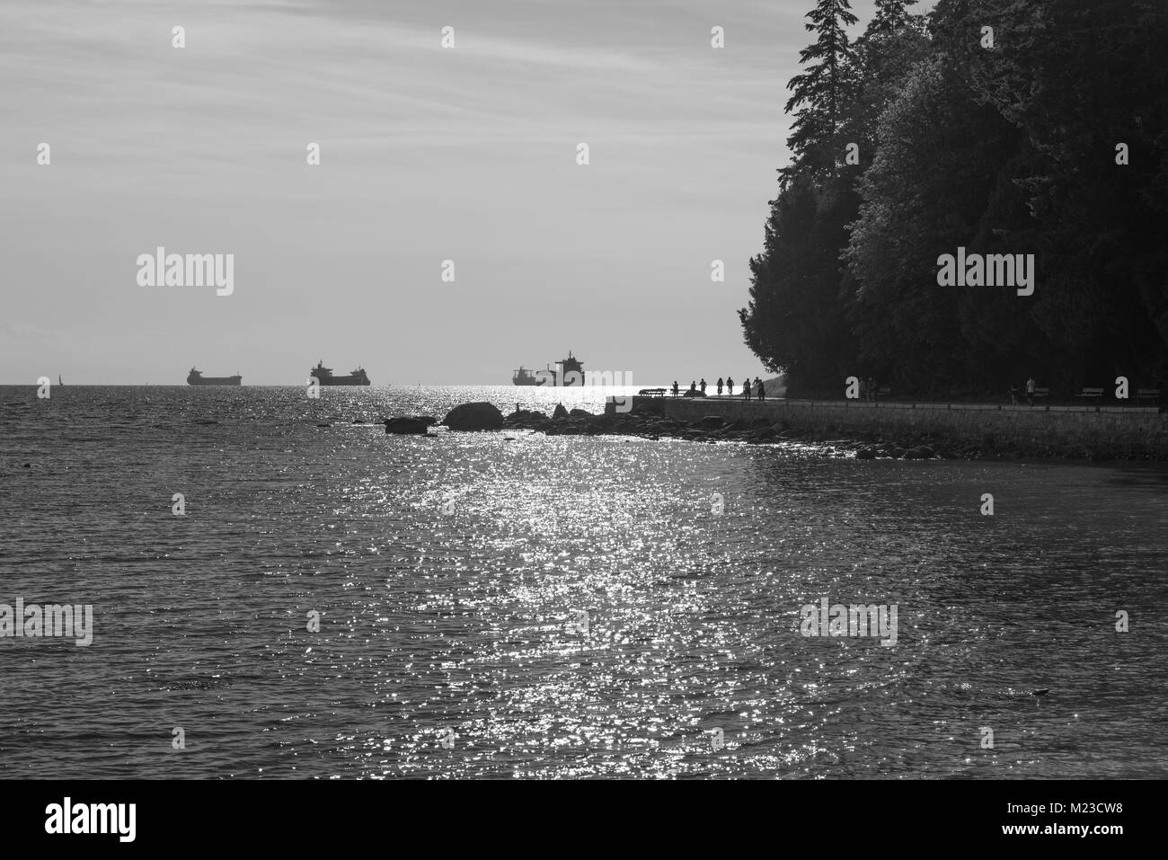 Vancouver, Colombie-Britannique, Canada. La baie English et le Stanley Park Seawall un soir d'été en monochrome. Banque D'Images