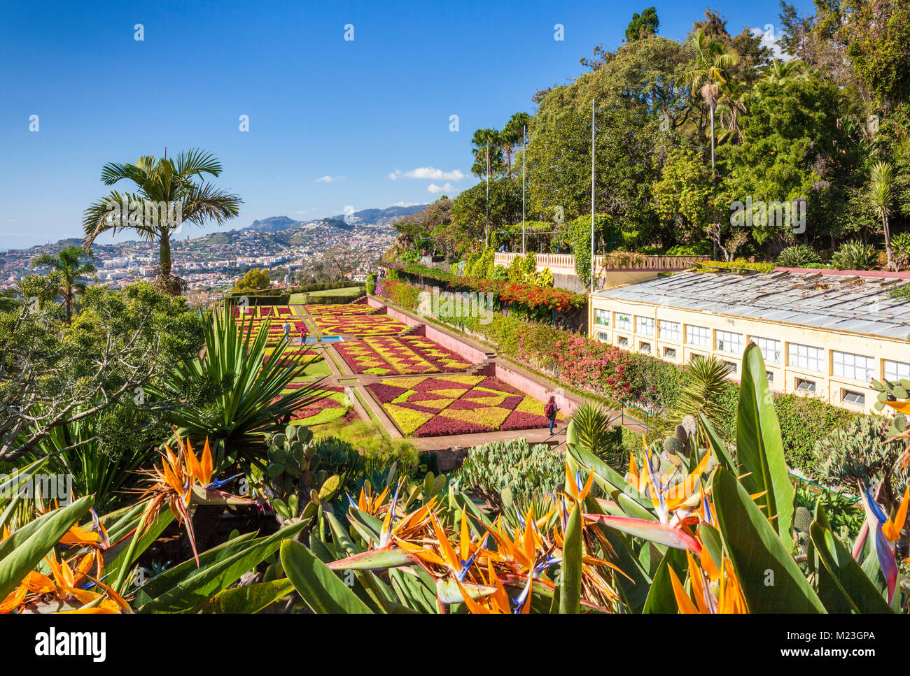 MADEIRA Funchal Madeira Jardins botaniques FUNCHAL JARDIM Botanico au-dessus de la capitale Funchal, Madère, Portugal, UE, Europe Banque D'Images
