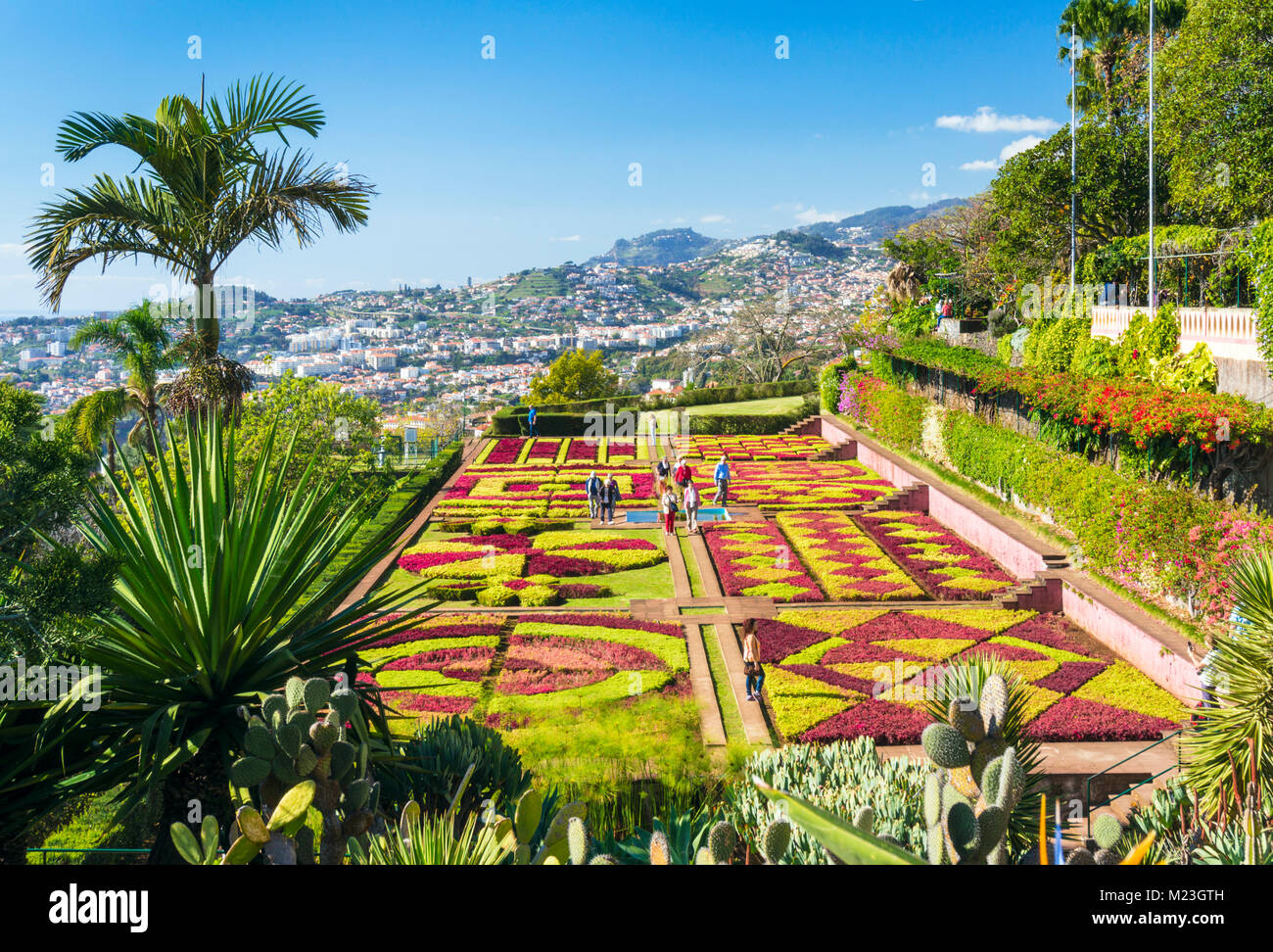 Madère PORTUGAL Madère Funchal jardins botaniques Jardins botanique Jardim Botanico au-dessus de la capitale de Funchal, Madeira, Portugal, Union européenne, Europe Banque D'Images