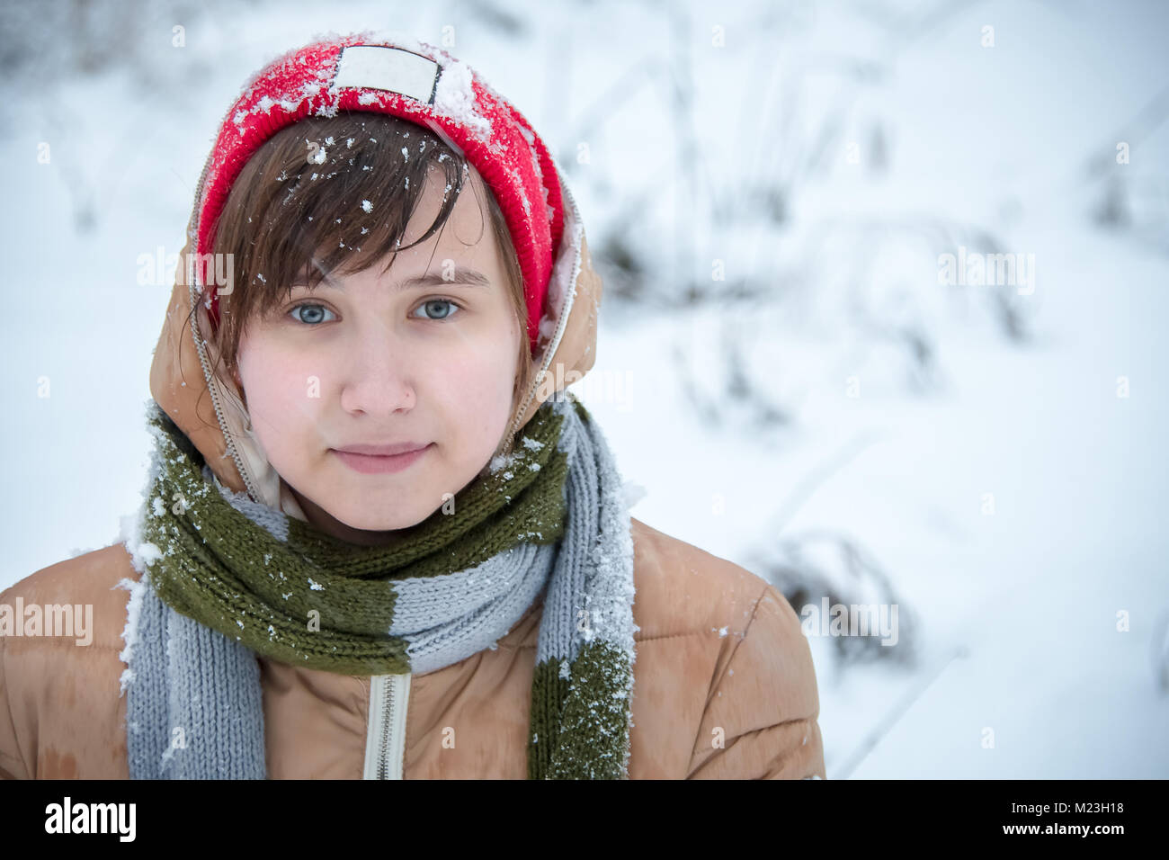 Blizzard. Close-up. Un arrière-plan flou. Nikon D750 Banque D'Images