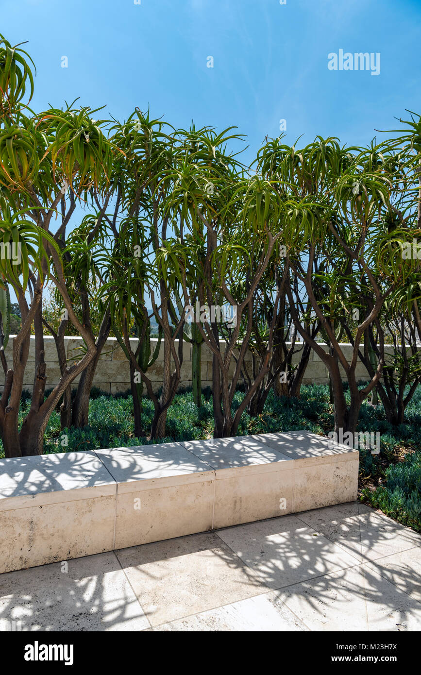 Le jardin de cactus au Getty Center, Los Angeles Banque D'Images