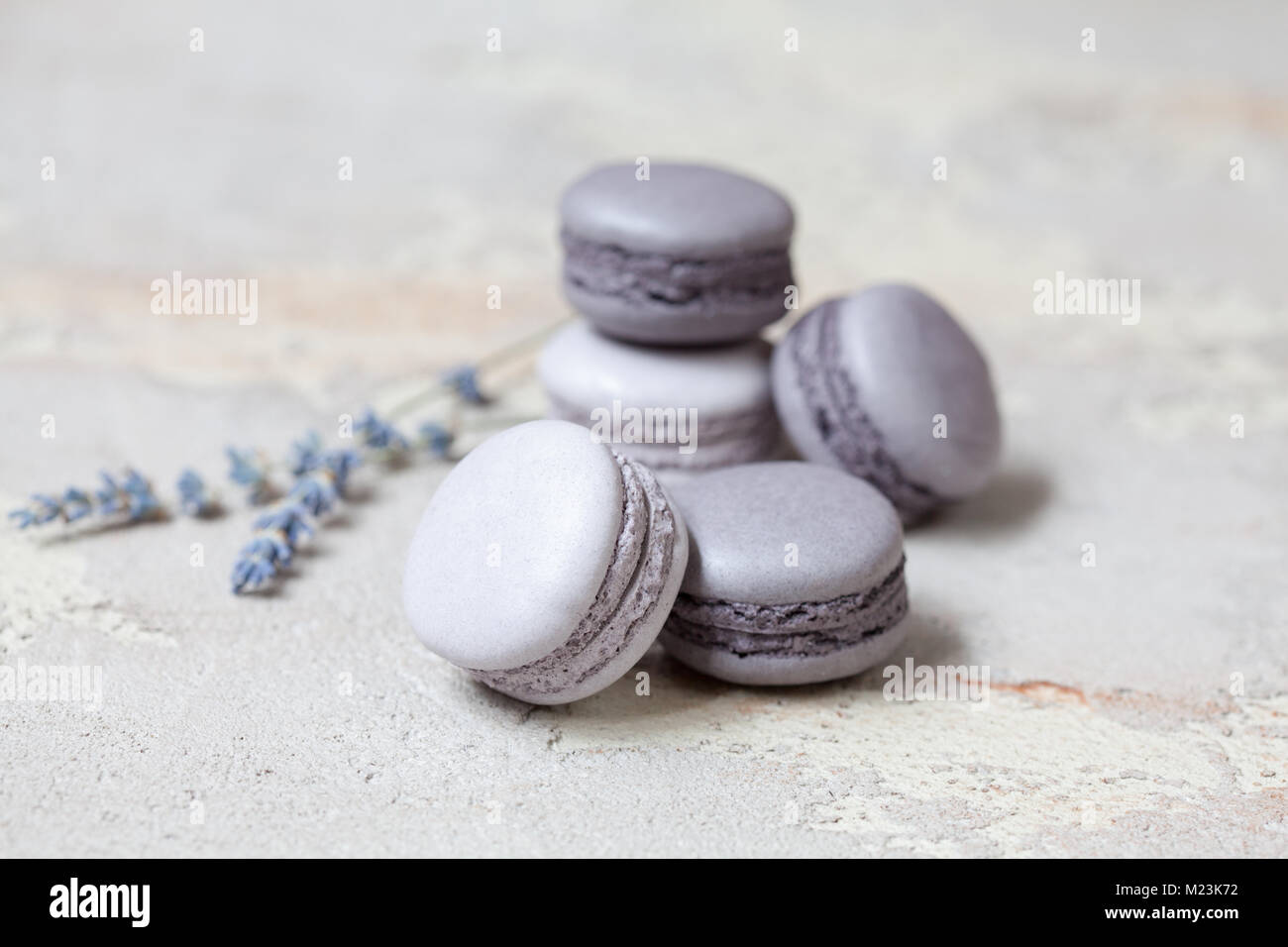Macaron macaron ou gris Monochrome sur fond de béton, biscuits aux amandes avec différents matériaux (chocolat, caramel). Selective focus Banque D'Images