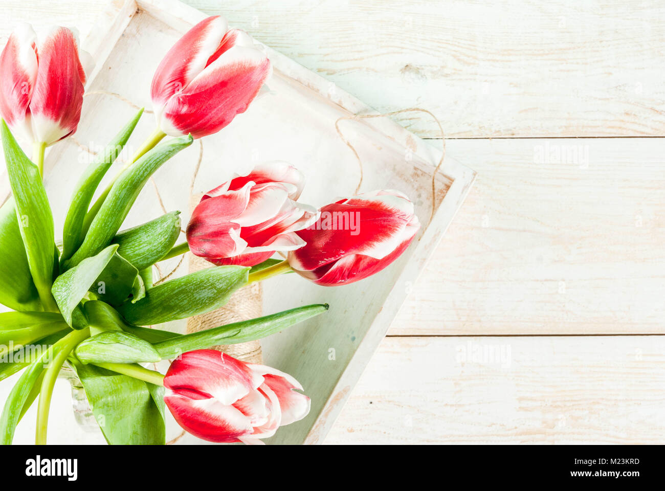 Concept de printemps. Tulipes fleurs dans un verre pot Mason, sur fond blanc en bois. Vue de dessus de l'espace de copie Banque D'Images