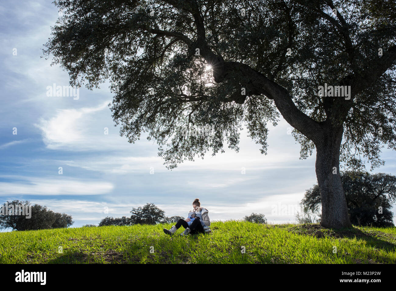 Mère de l'allaitement bébé garçon en vertu de l'arbre de vie. Dans l'allaitement prolongé concept nature Banque D'Images