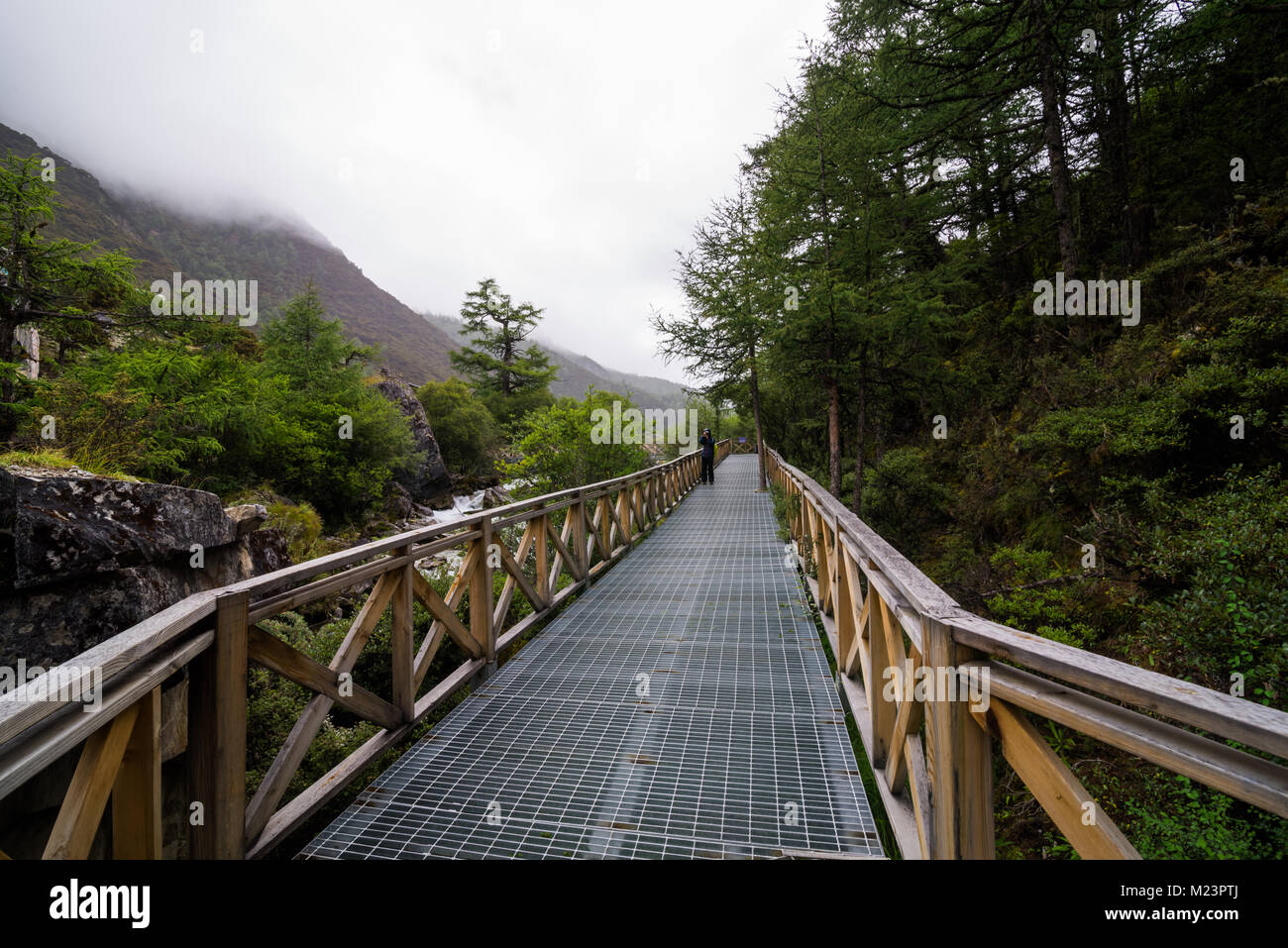 Trottoir en en niveau national réserver Daocheng Yading Province du Sichuan en Chine. Banque D'Images