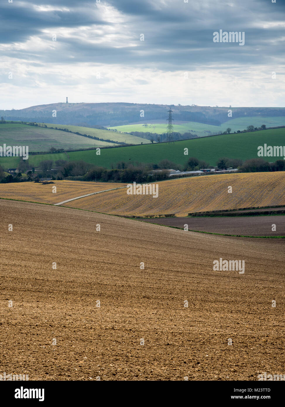 Les champs labourés et les pâturages couvrent le paysage vallonné du Dorset Downs hills, avec Hardy's monument à la distance. Banque D'Images