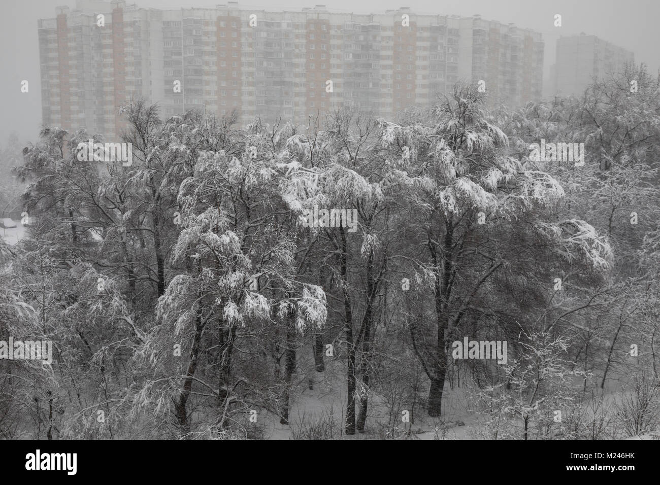 Moscou, Russie - 4 Février, 2018 : vue sur le parc à la périphérie de Moscou lors de neige anormale dans la région de Moscou, Russie Crédit : Nikolay Vinokourov/Alamy Live News Banque D'Images