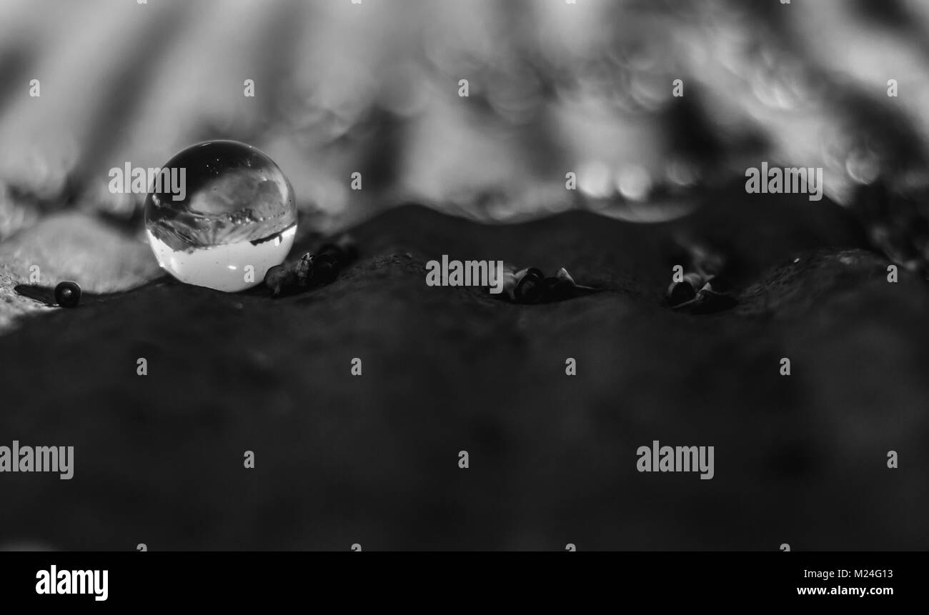 Entre ombres et lumières Banque D'Images