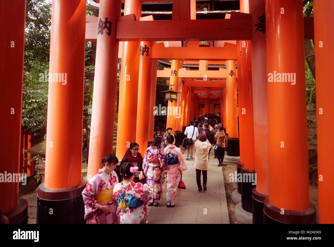 Les touristes et les femmes en kimono à marcher le long d'un long chemin, Senbon Torii torii, une rangée de portes orange, au sanctuaire Fushimi Inari Taisha Temple Fushimi Ward en tête Banque D'Images