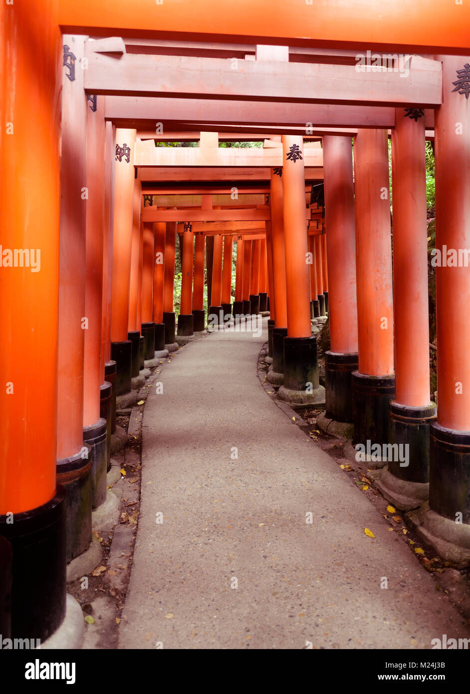 Senbon torii, un long chemin vide de rouge vermillon Torii gates au Sanctuaire Fushimi Inari Taisha à Kyoto, Japon, 2017 Banque D'Images