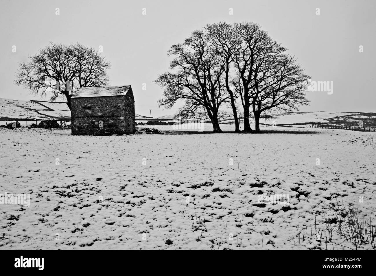 Snowscap Bleathgill, près de Cumbria Banque D'Images