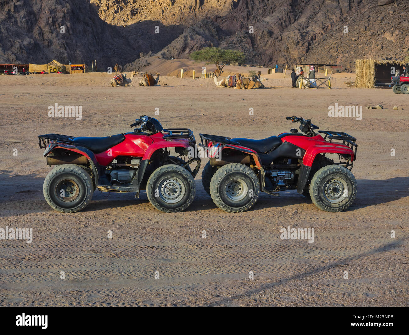 Voitures Buggy dans le désert du Sinaï en Egypte Banque D'Images