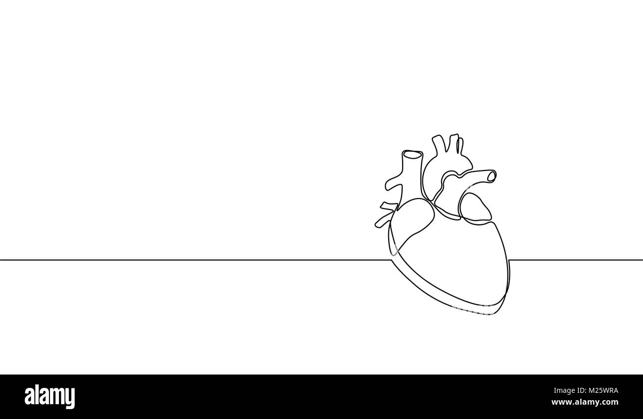 Seule ligne anatomiques art coeur humain silhouette. Médecine santé concept design un croquis silhouette vector illustration Illustration de Vecteur