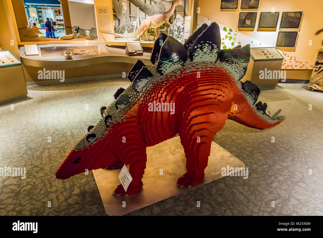Dinosaur State Park Rocky Hill, New York, USA Photo Stock Alamy