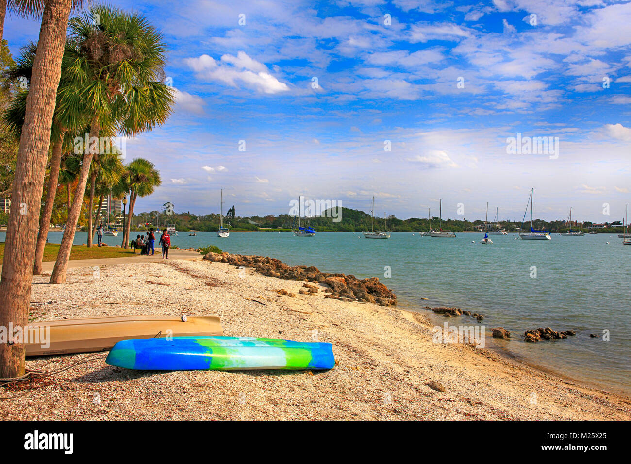 Les gens à Bayfront Park surplombant la baie de Sarasota de Sarasota, FL, USA Banque D'Images