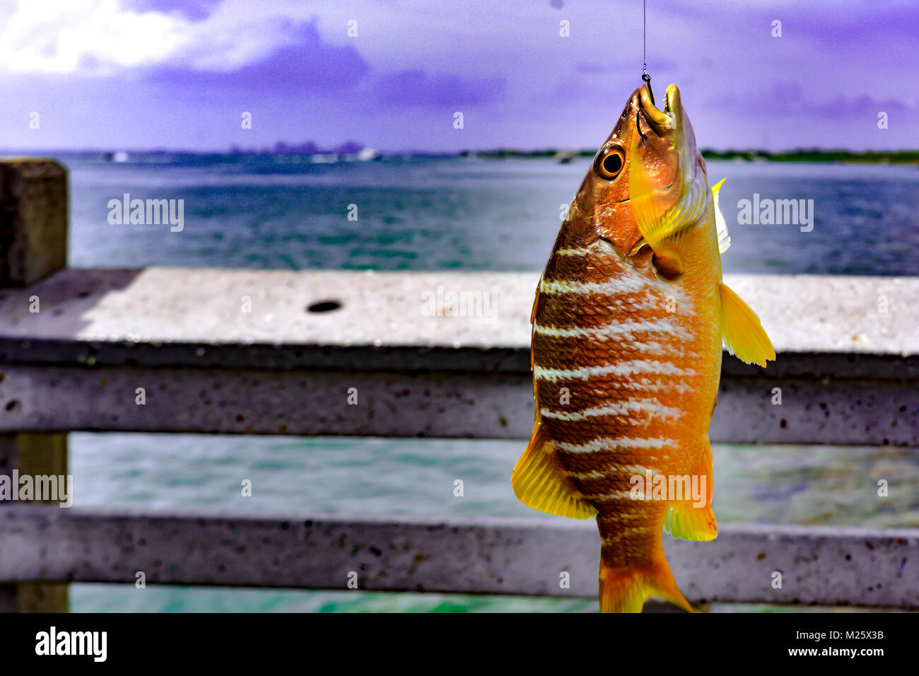 La pêche est un art et le pêcheur est un artiste Banque D'Images