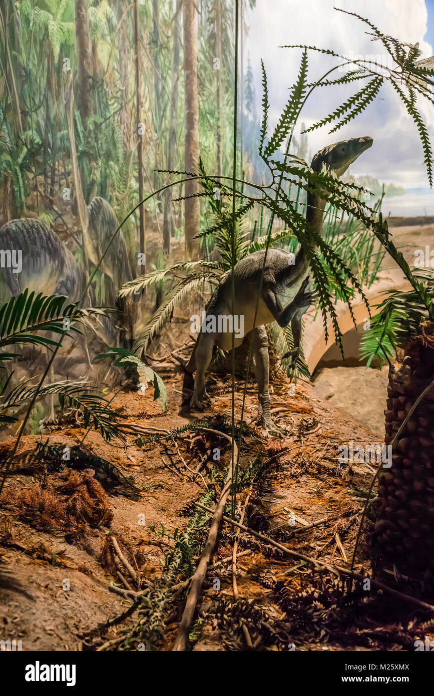 Dinosaur state park arboretum Banque de photographies et d’images à