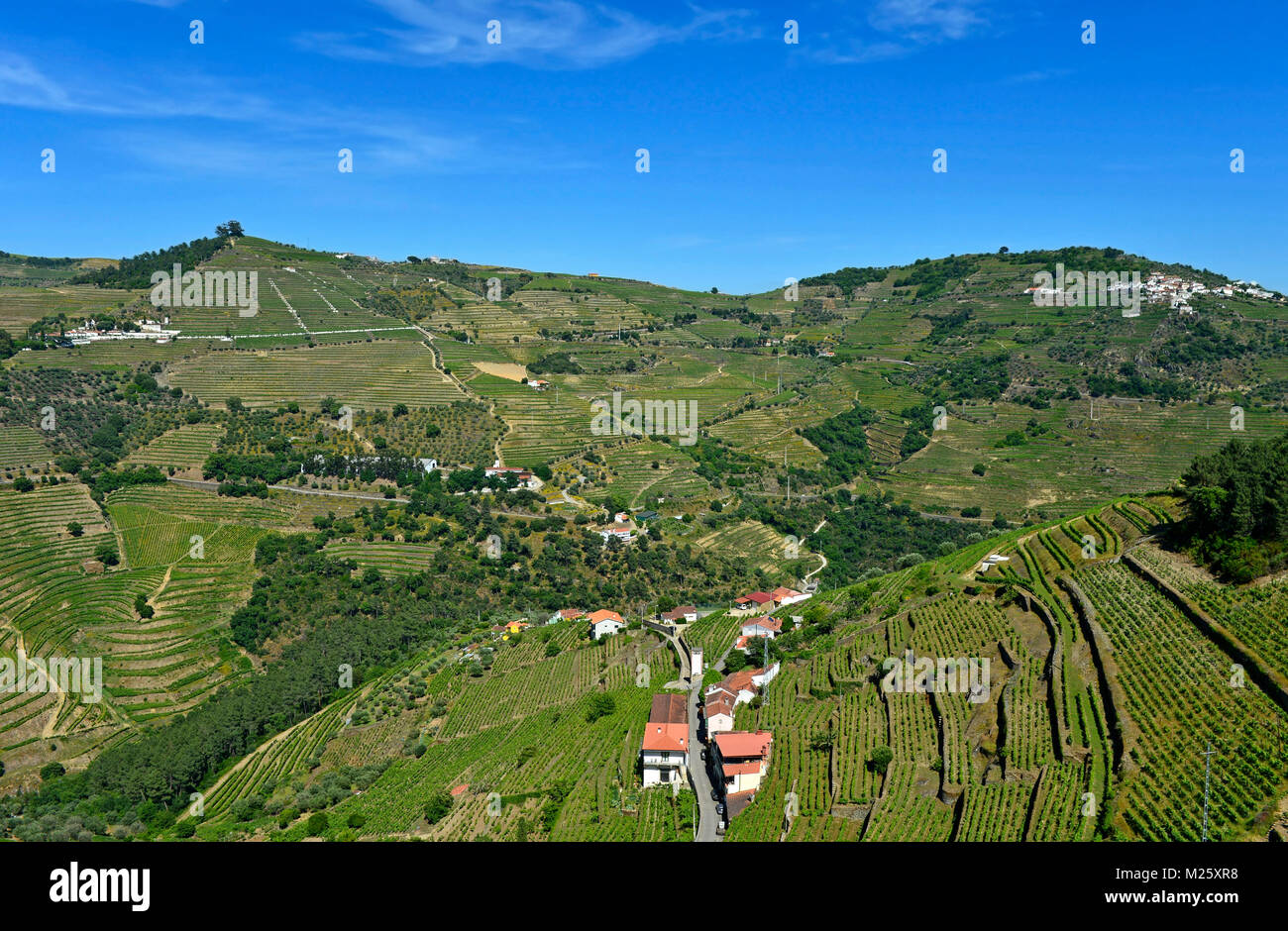 Vignobles en terrasses dans la vallée du Rio Pinhao, Sao Cristovao do Douro, Portugal Banque D'Images