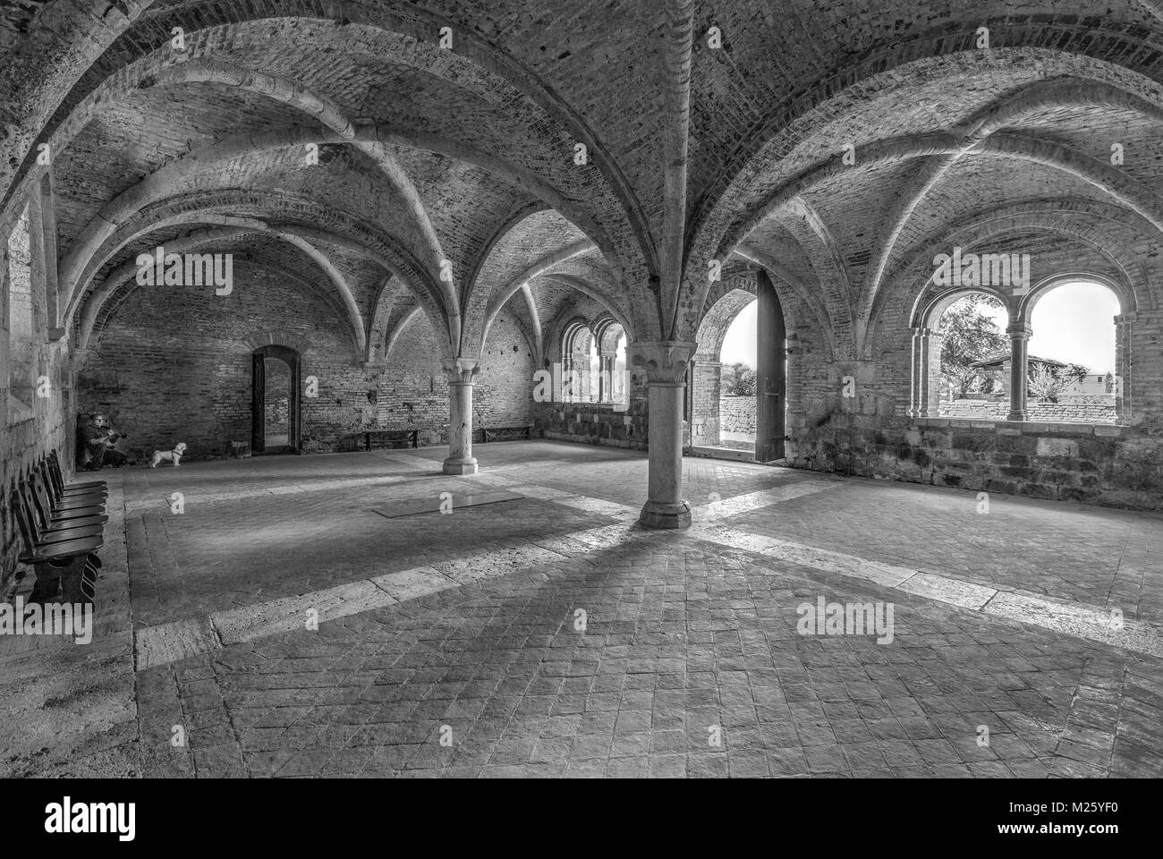 Une partie de l'abbaye de Saint Galgano (un monastère cistercien dans la province de Sienne). Banque D'Images