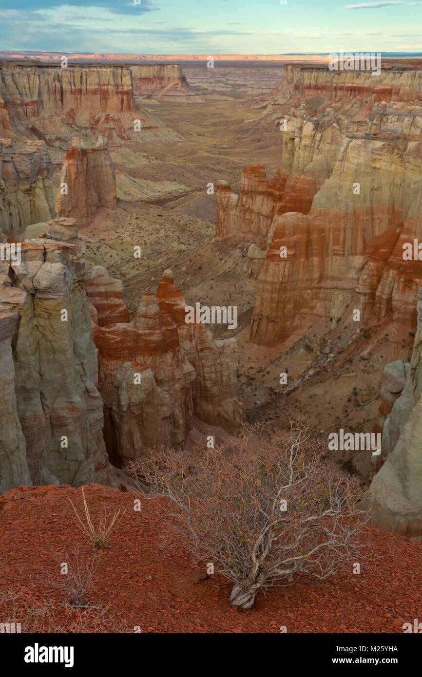 Piliers, des couleurs, des rayures, et des couches de Canyon de mine de charbon dans l'Arizona. USA Banque D'Images