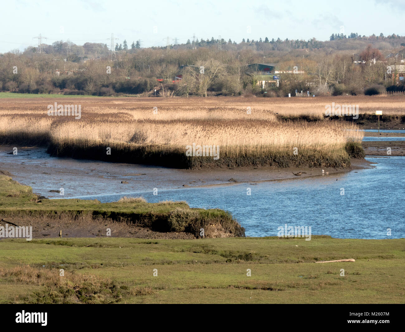 Test inférieur, l'estuaire de Southampton Water, Hampshire. Salon des zones côtières et humides dans un estuaire à marée. UK Banque D'Images