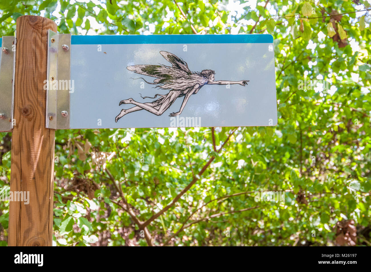 Il signe pour la route droite avec une fée dans la forêt estunes, Banyoles, Catalogne, Espagne Banque D'Images