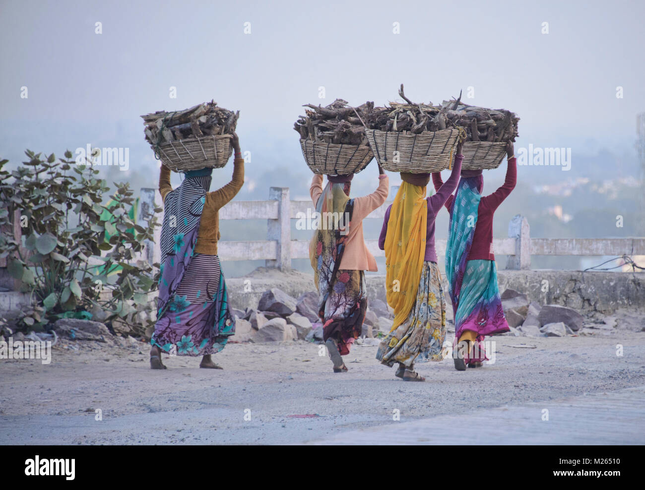 Des femmes transportant du bois de chauffage, Bundi, Rajasthan, Inde Banque D'Images