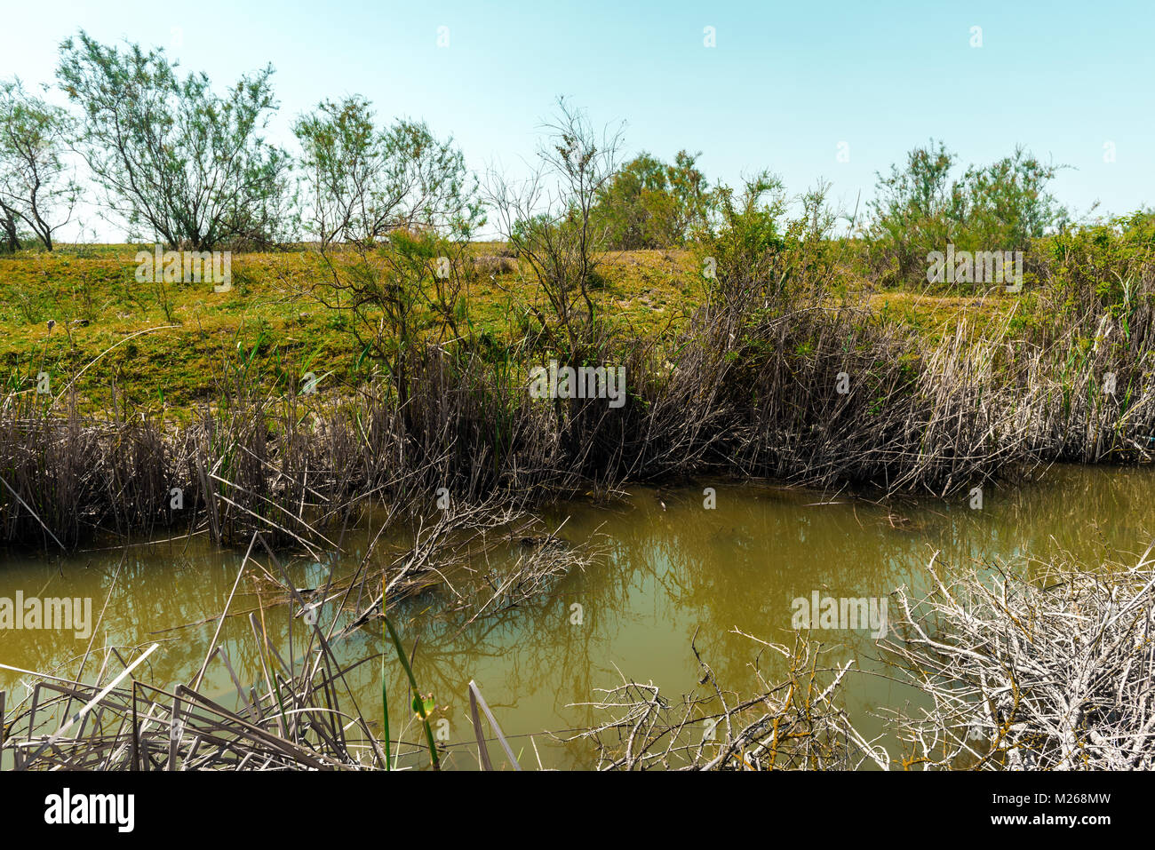 Un petit fossé avec de l'eau pour l'irrigation des champs agricoles Banque D'Images