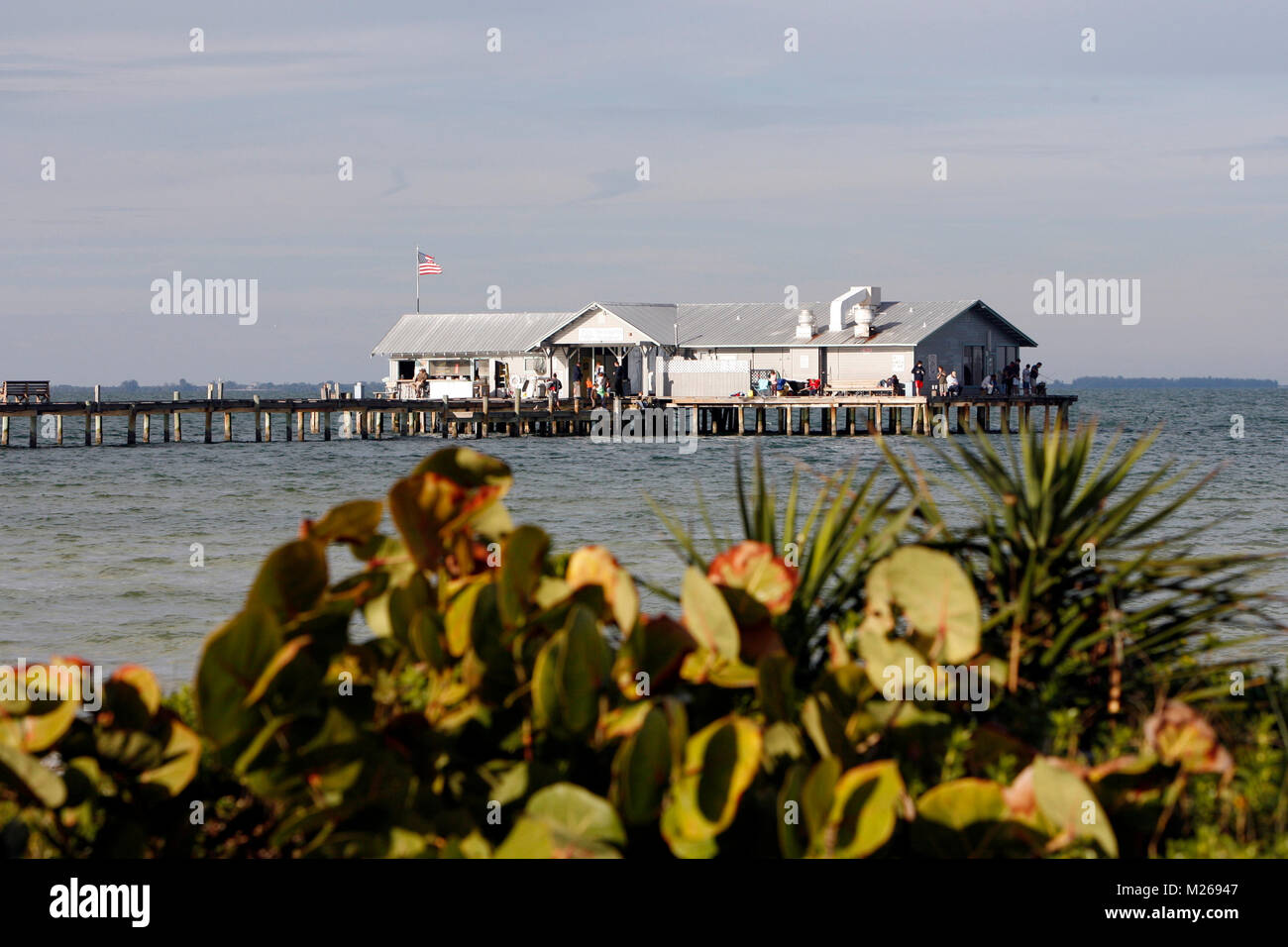 Anna Maria Island, Floride, États-Unis : l'Anna Maria Island City Pier propose un bar, restaurant et boutique d'appâts à l'extrémité nord de Anna Maria Island près de Banque D'Images