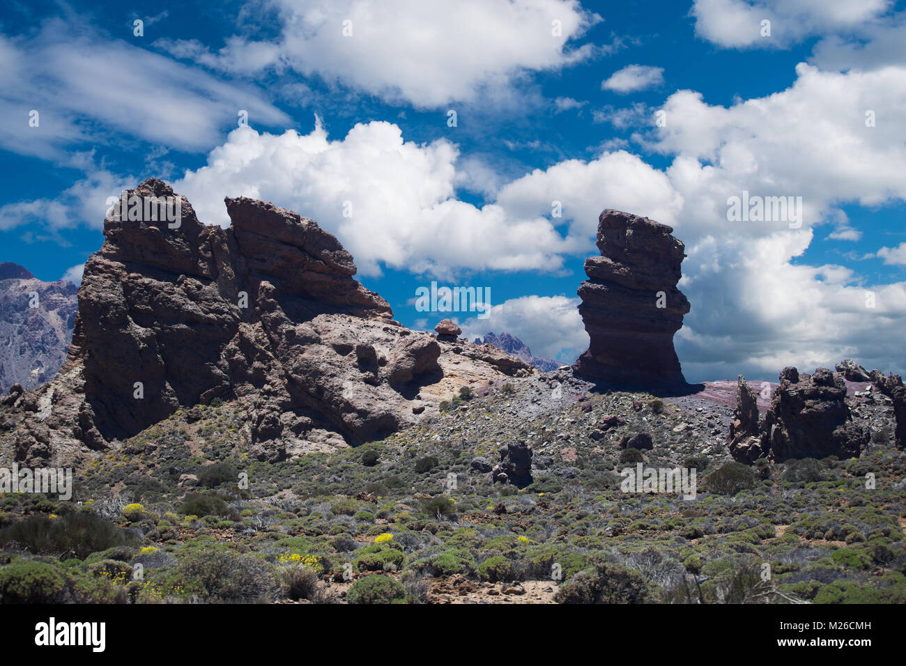 Echium wildpretii .célèbre doigt de Dieu rock dans le parc national du Teide. L'île de Tenerife, Canaries - Espagne Banque D'Images