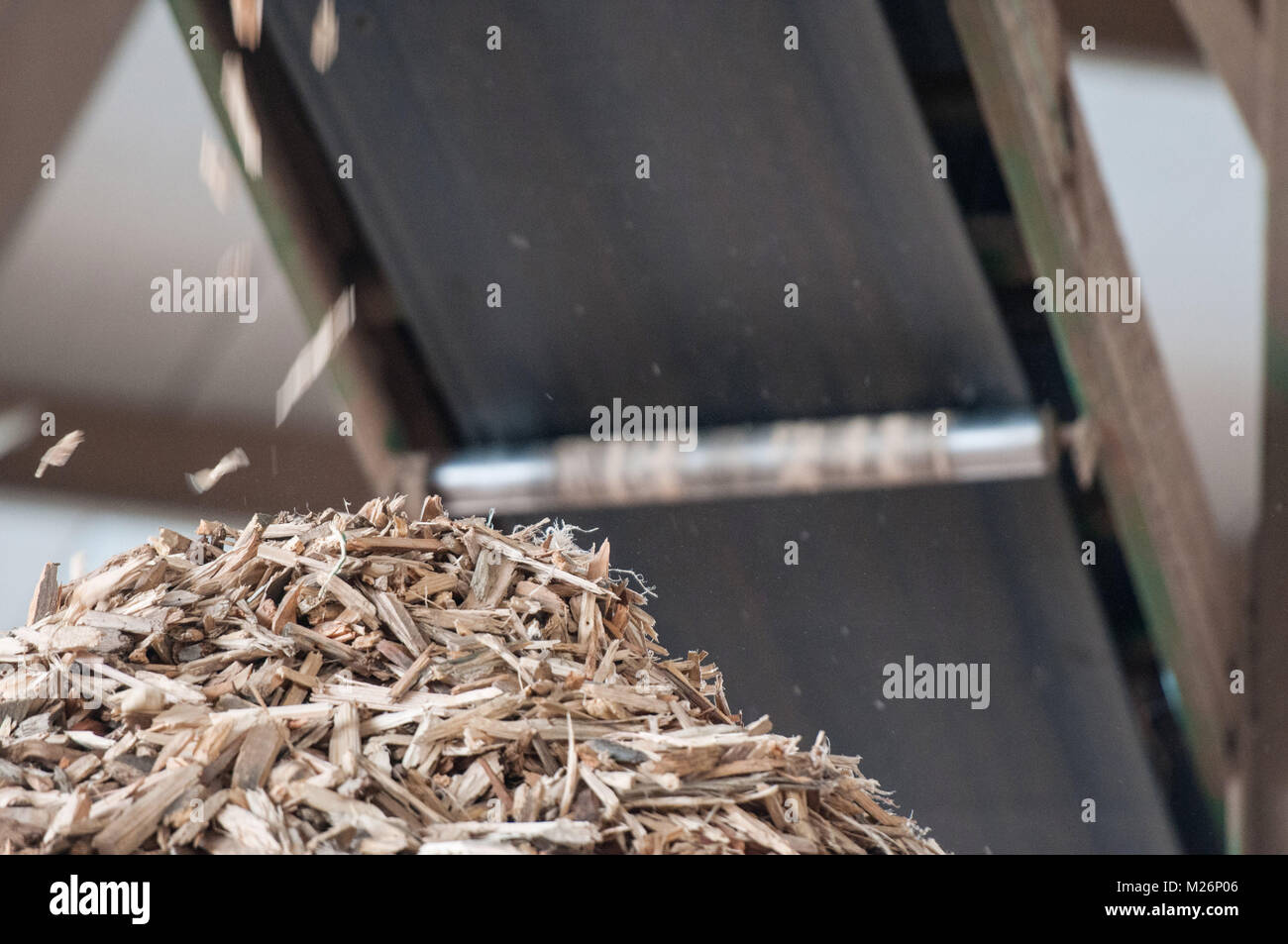 Récupération des déchets de bois Déchets de bois sont récupérables pour