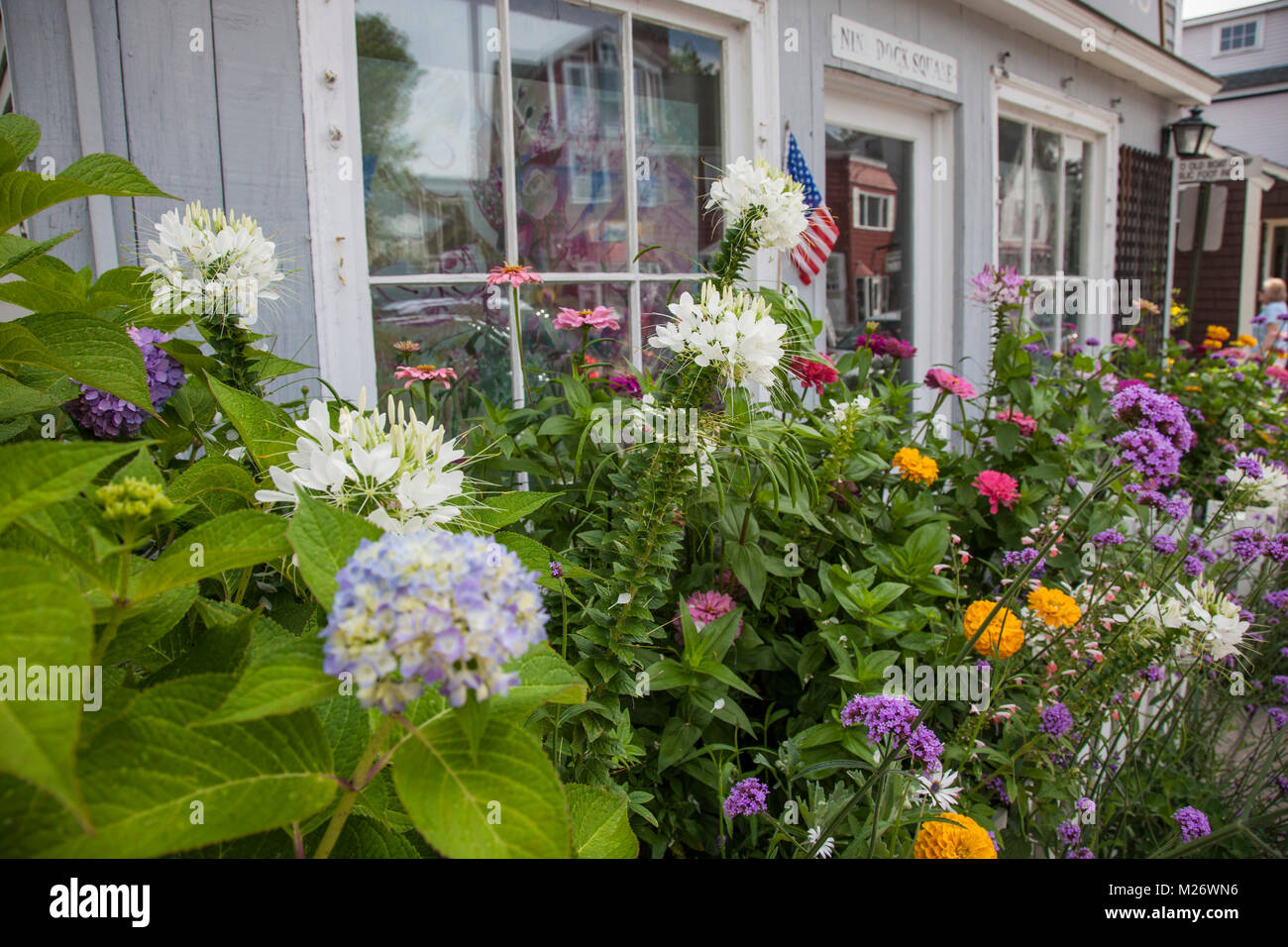 Un jardin de fleurs en face d'une entreprise du Massachusetts, Rockport Banque D'Images