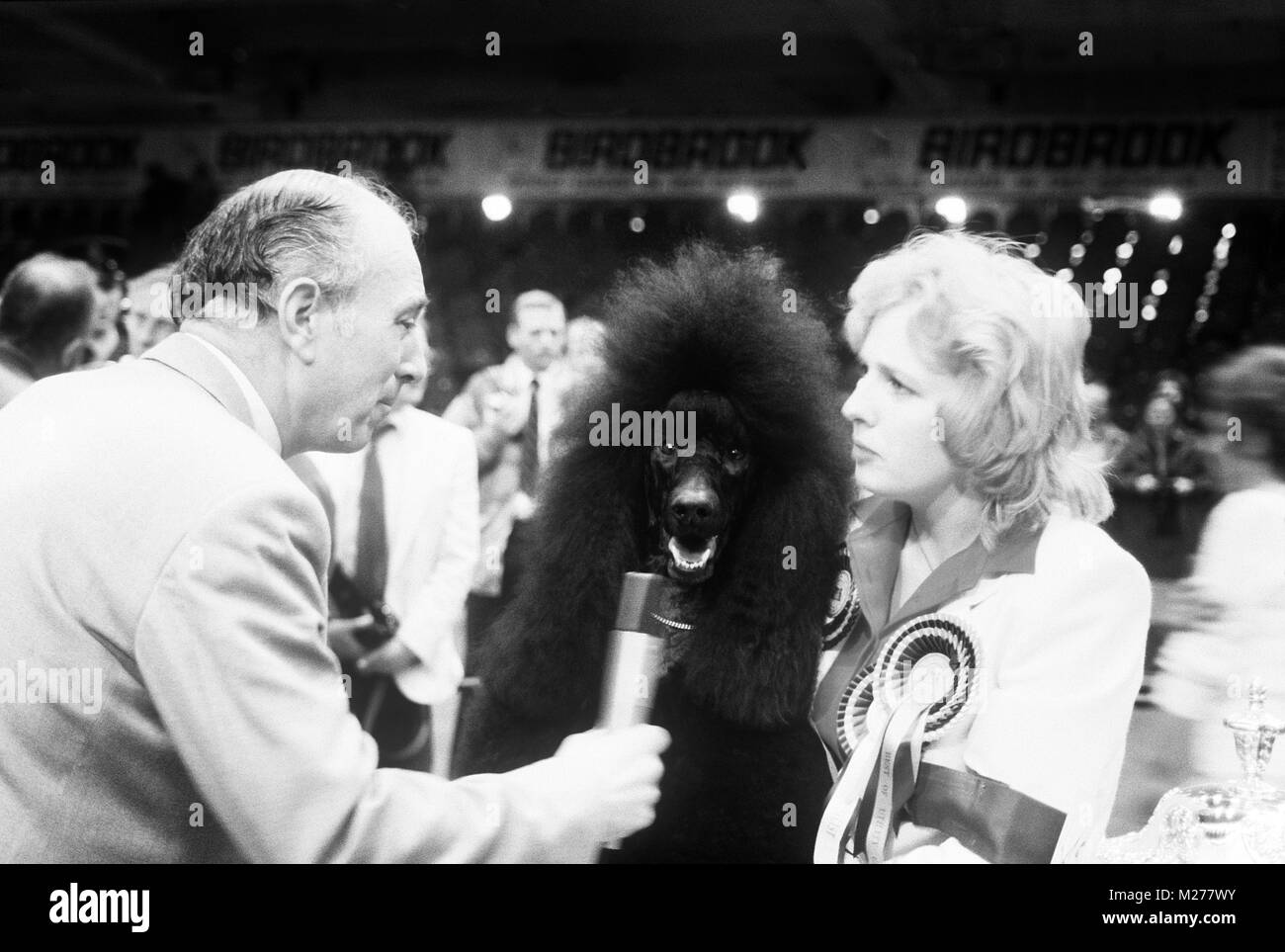 Ch montravia Tommy gun interviewés avec marita rogers après avoir gagné crufts 1985 bis Banque D'Images