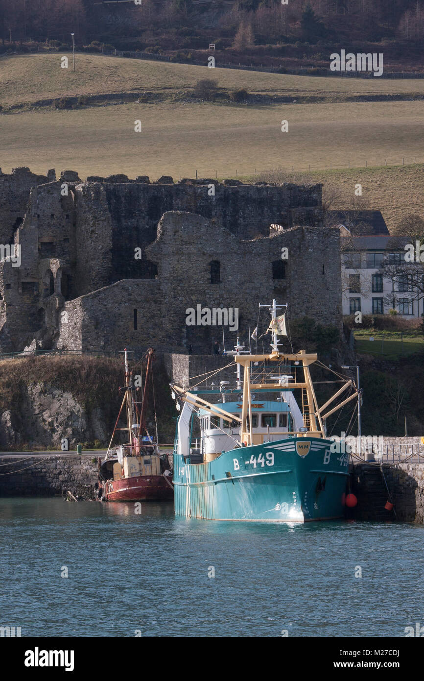 Bateaux de pêche dans le port de Carlingford Carlingford, comté de Louth Irlande, à Carlingford château en arrière-plan.. Banque D'Images