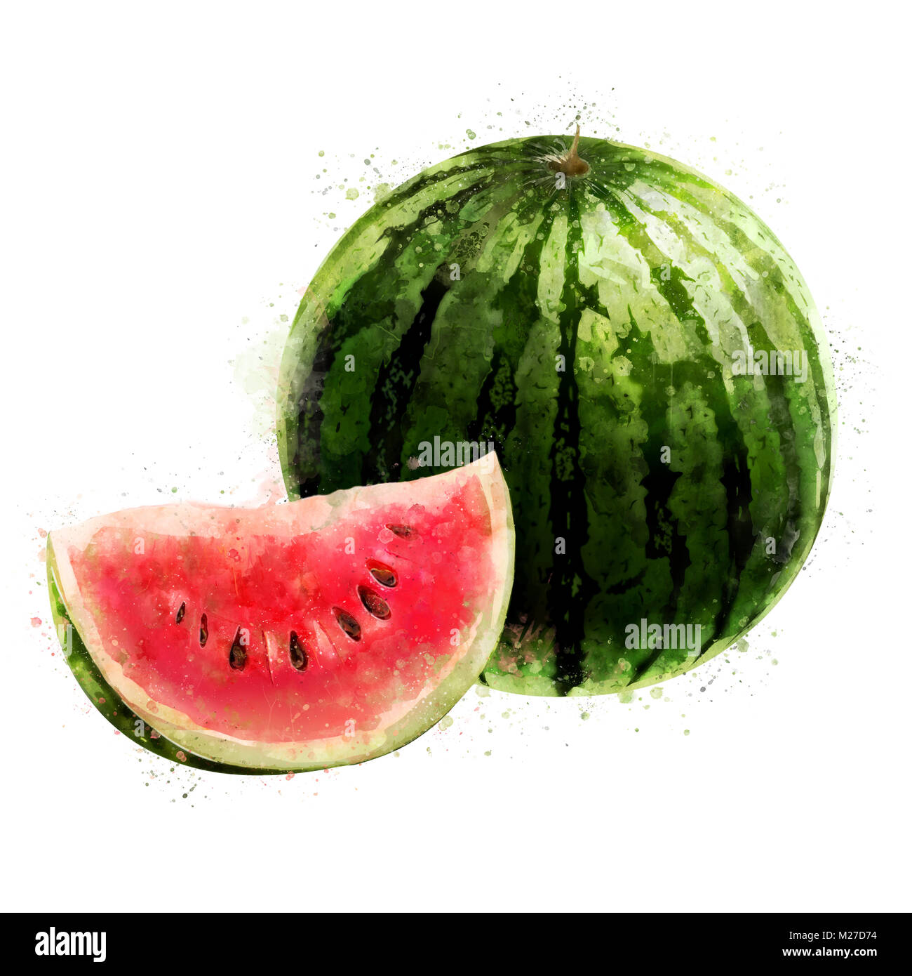 Watermelon sur fond blanc. Illustration à l'aquarelle Banque D'Images