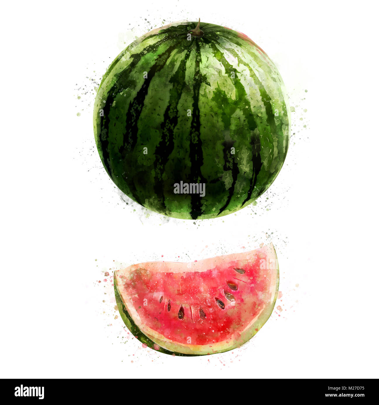 Watermelon sur fond blanc. Illustration à l'aquarelle Banque D'Images