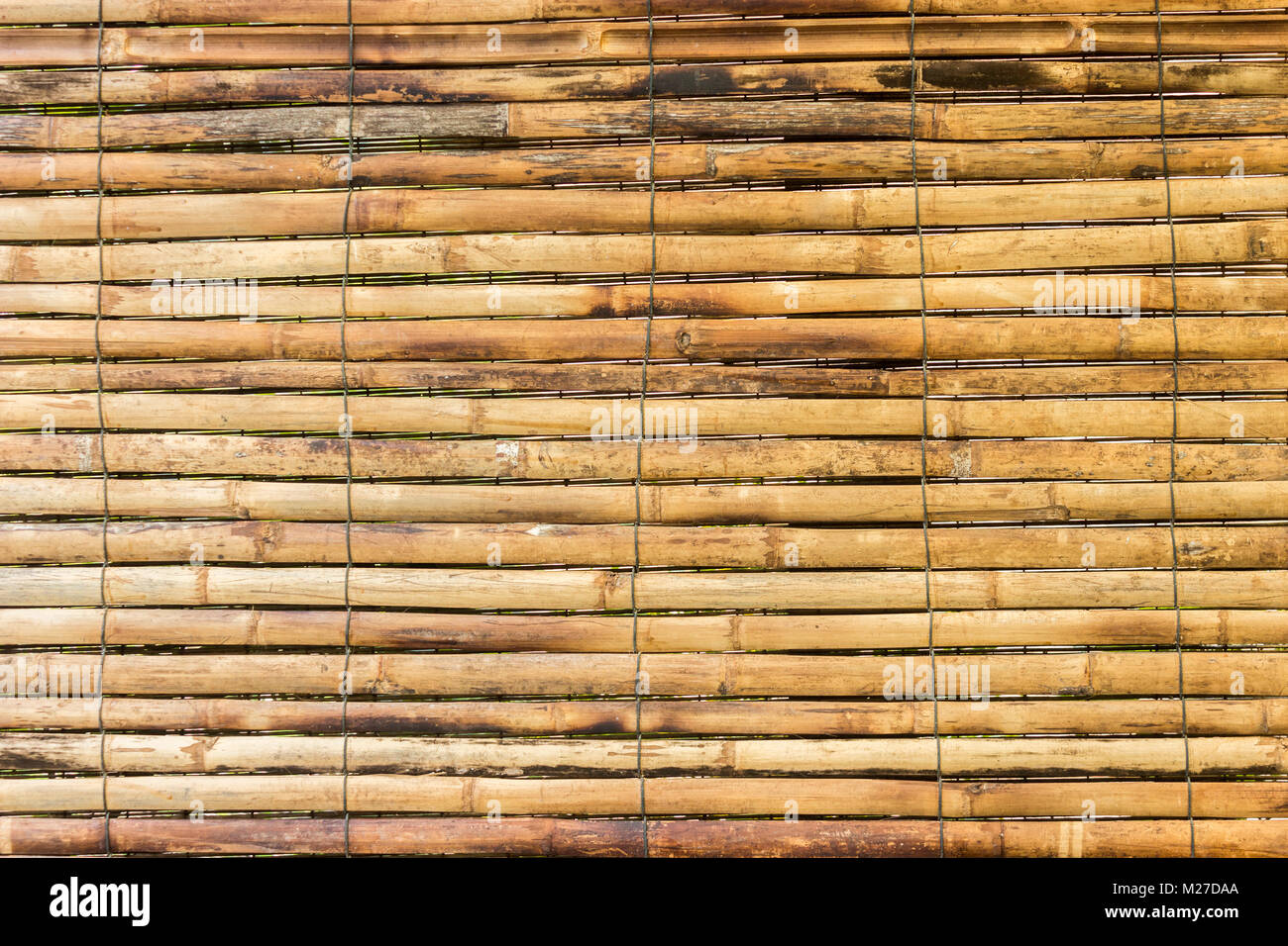 Bambou jaune horizontale pour la texture d'arrière-plan Banque D'Images