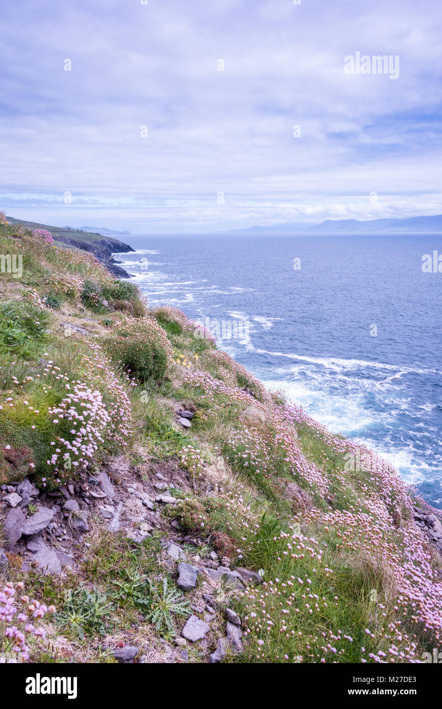 Péninsule de Dingle, comté de Kerry, Irlande Banque D'Images