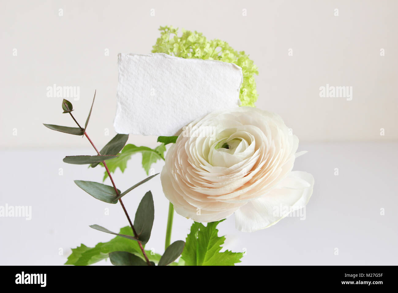 Anniversaire de mariage ou de maquettes de scène avec bouquet floral de Persian buttercup, Ranunculus fleur et feuilles d'eucalyptus avec le papier blanc carte de vœux. Image Style Féminin. Banque D'Images