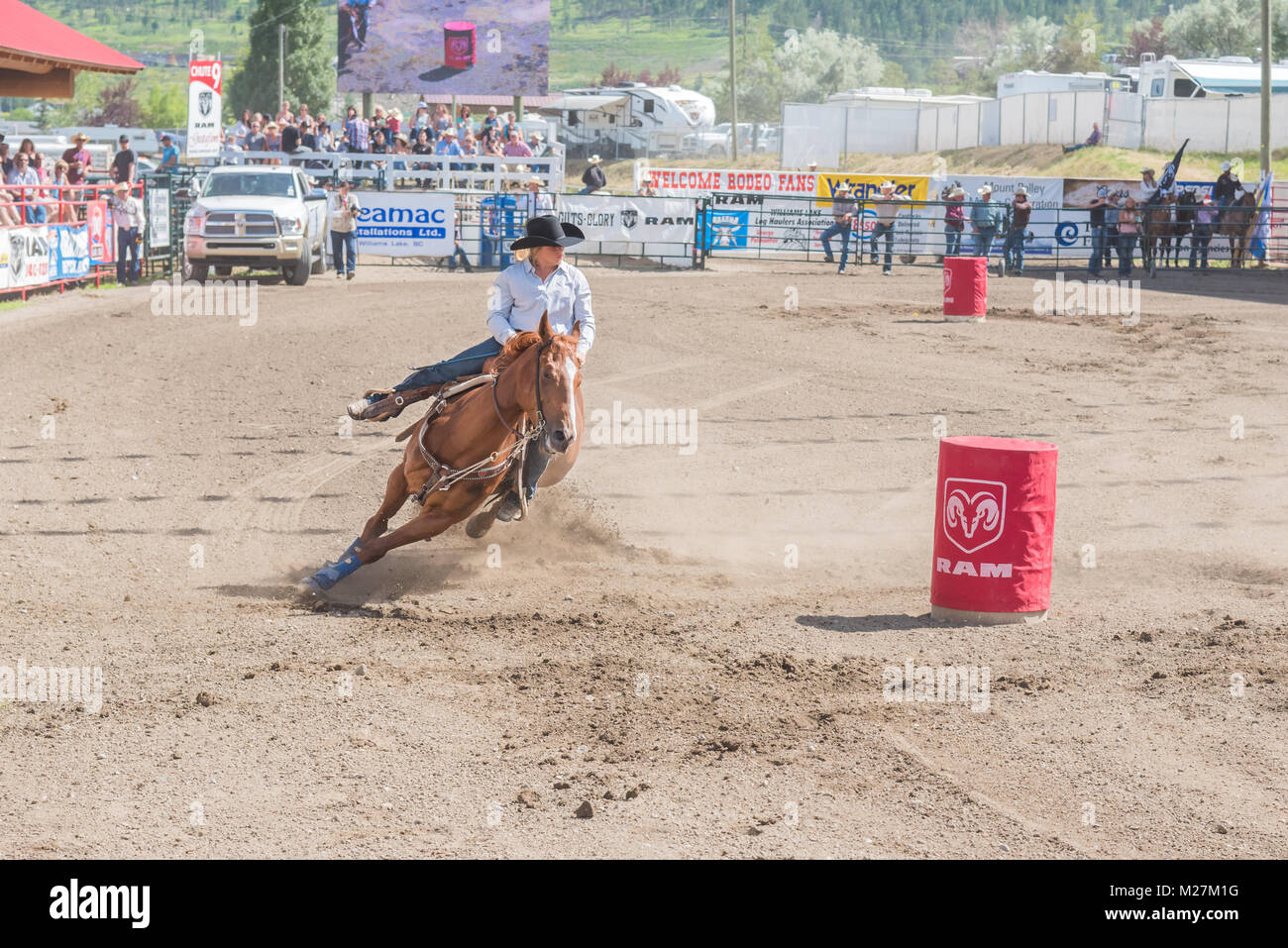 Cowgirl et viennent à cheval autour du deuxième baril à un événement course de barils au cours de la 90e Williams Lake Stampede à Williams Lake, BC, Canada. Banque D'Images