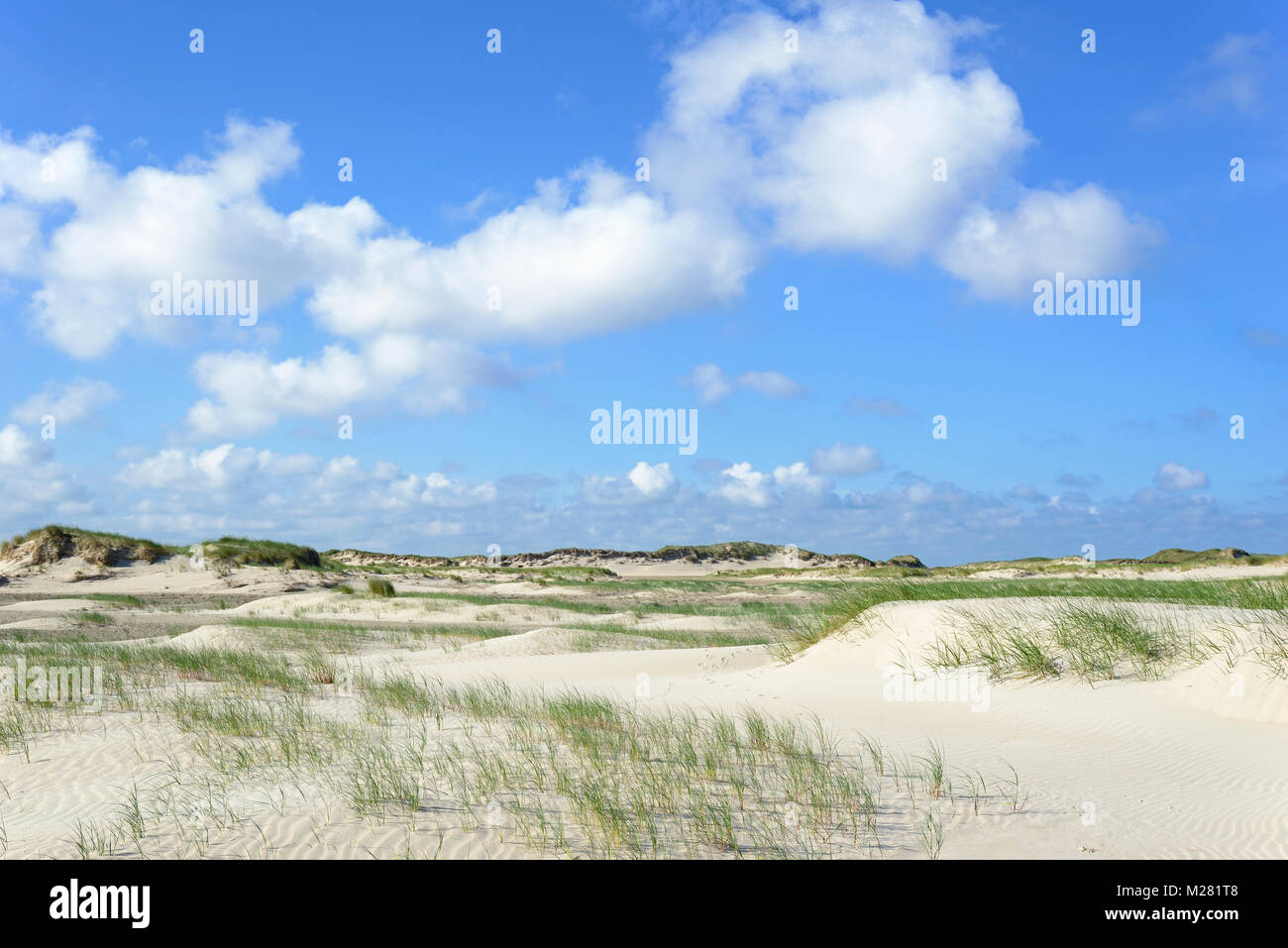 Paysage de dunes, Norderney, îles de la Frise orientale, mer du Nord, Basse-Saxe, Allemagne Banque D'Images