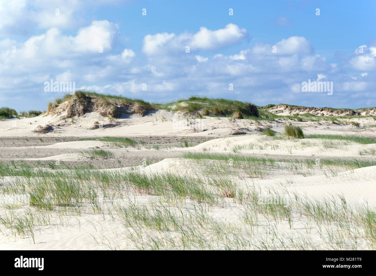 Paysage de dunes, Norderney, îles de la Frise orientale, mer du Nord, Basse-Saxe, Allemagne Banque D'Images