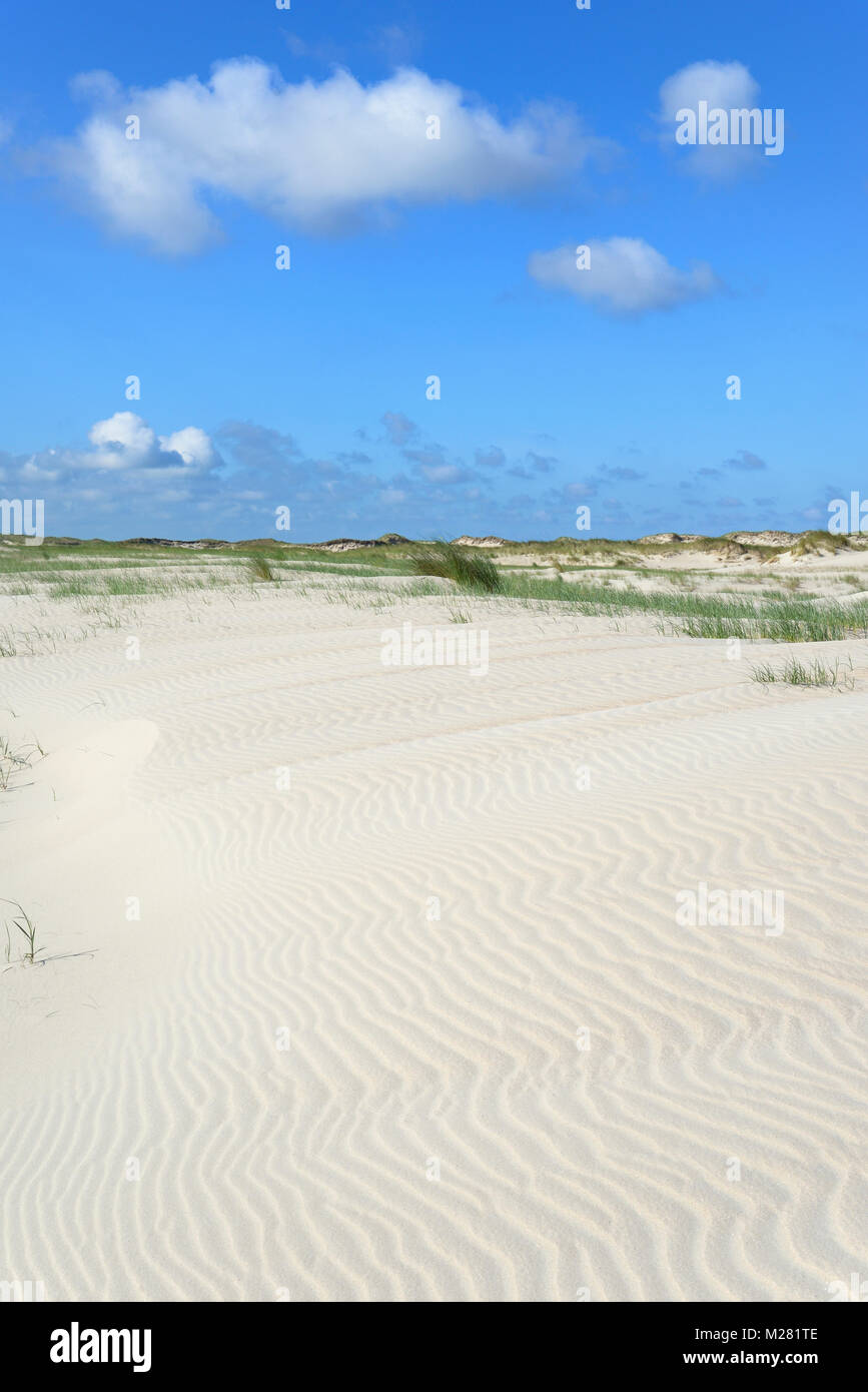 Avec un paysage de dunes de sable blanc dans la structure en forme de vague, ondulation, Norderney, îles de la Frise orientale, mer du Nord, Basse-Saxe, Allemagne Banque D'Images