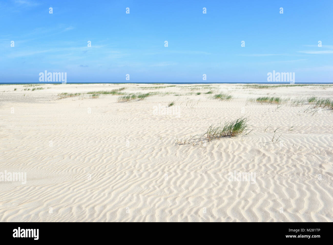 Avec un paysage de dunes de sable blanc dans la structure en forme de vague, ondulation, Norderney, îles de la Frise orientale, mer du Nord, Basse-Saxe, Allemagne Banque D'Images