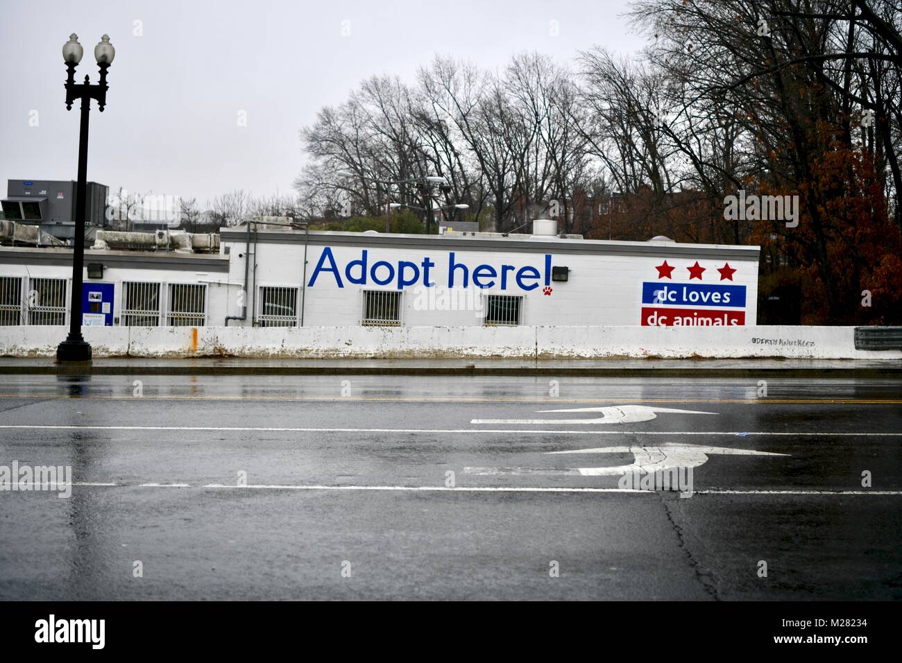 Adoption Animal Shelter, Washington DC, USA Banque D'Images