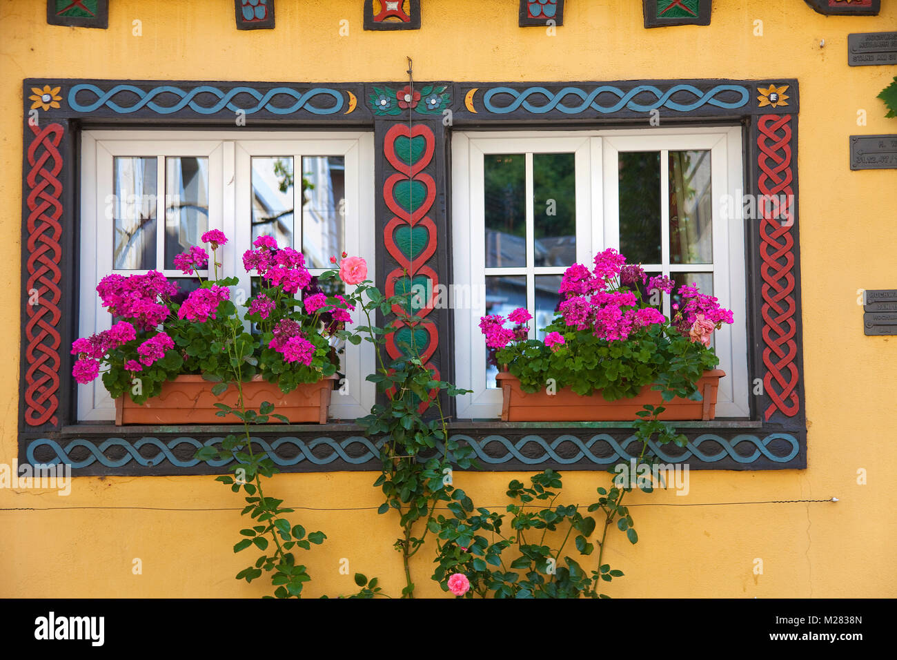 Fenêtres colorées avec des fleurs, façade de maison à l'ancienne ville de Trarbach, Traben-Trarbach, Moselle, rivière, Rhénanie-Palatinat, Allemagne, Europe Banque D'Images